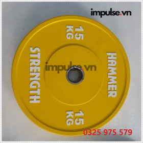 Hammer-15-kg-impulse.vn