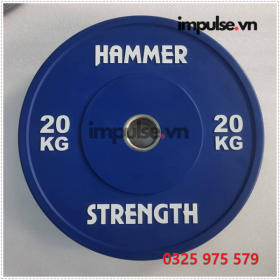 Hammer-20-kg-impulse.vn