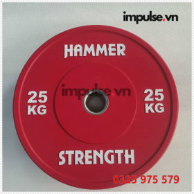 Hammer-25-kg-impulse.vn