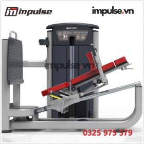 IT9539-impulse.vn