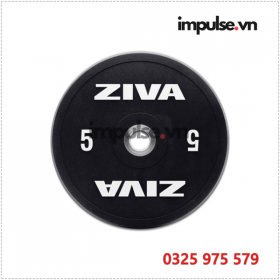 Ta-ziva-5-kg-impulse.vn