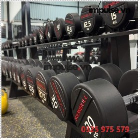 ta-tay-ironbull-impulse.vn